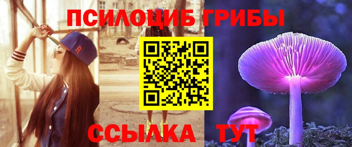 Удомля  хочу   Вход с VPN  Псилоцибиновые грибы прущие грибы 